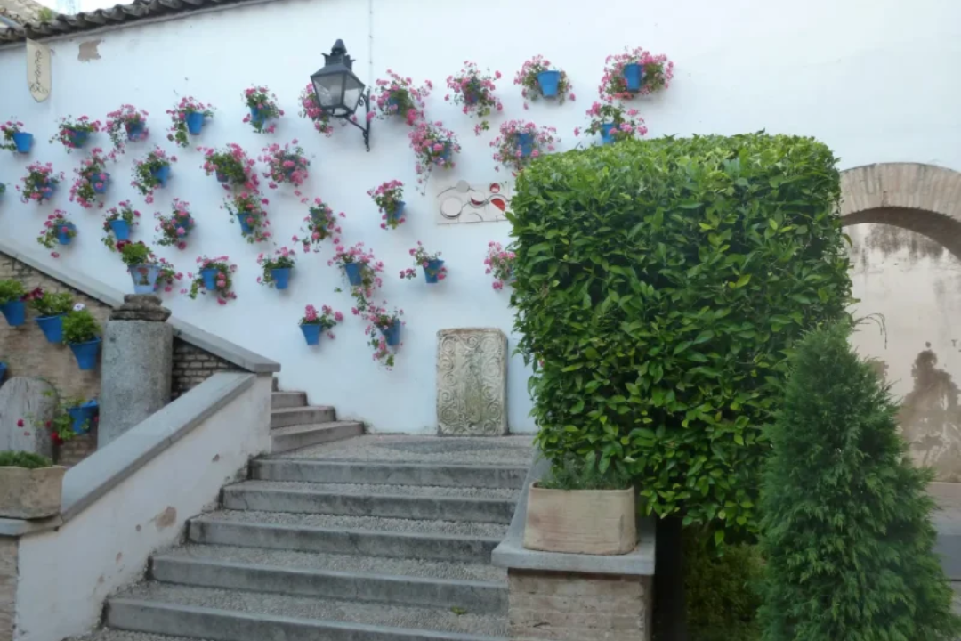 Cuándo son los patios de Córdoba: descubre una tradición que florece cada año
