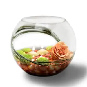 Pecera de Decoración